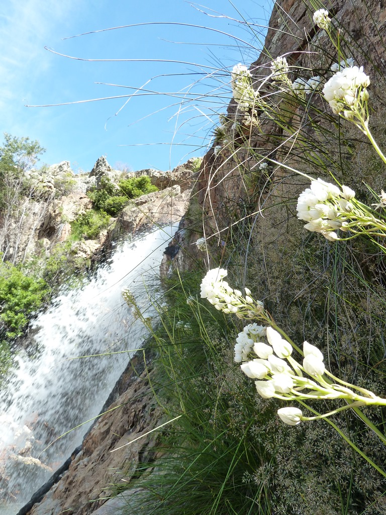 waterfall Adrian Rorvik