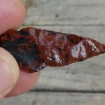 apport Adrian Rorvik