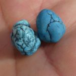 apport Adrian Rorvik