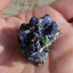 apport Adrian Rorvik