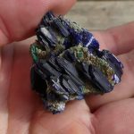 apport Adrian Rorvik